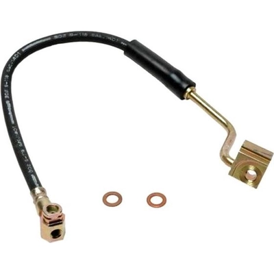 Front Brake Hose by RAYBESTOS - BH380076 pa9