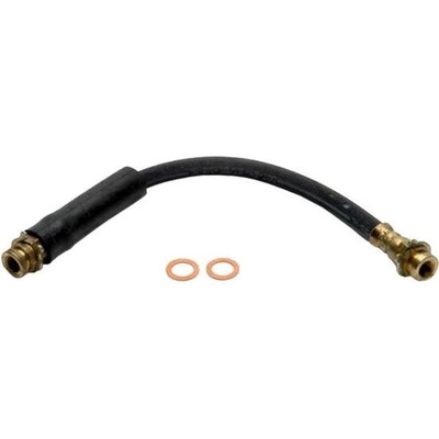 Front Brake Hose by RAYBESTOS - BH380505 pa2
