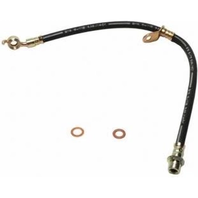 Front Brake Hose by RAYBESTOS - BH380954 pa9