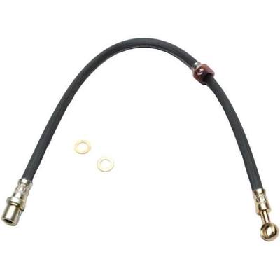 Front Brake Hose by RAYBESTOS - BH381352 pa2