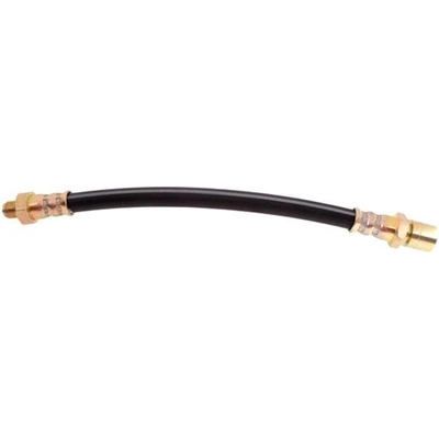 Front Brake Hose by RAYBESTOS - BH38163 pa10