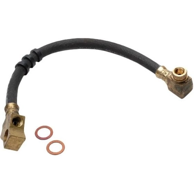 Front Brake Hose by RAYBESTOS - BH38244 pa17