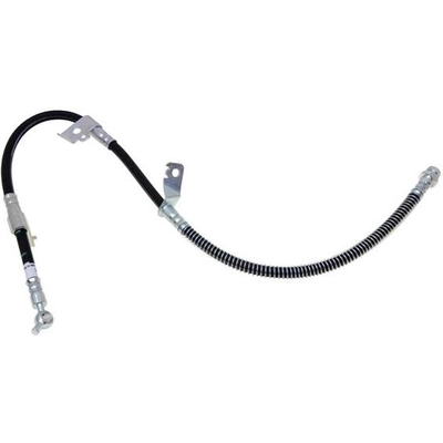 Front Brake Hose by RAYBESTOS - BH383305 pa14