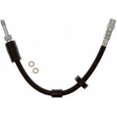 Front Brake Hose by RAYBESTOS - BH384016 pa2
