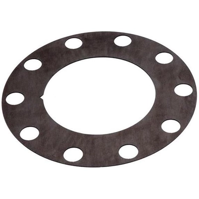 Front Brake Rotor Shim by RAYBESTOS - BA40206 pa1