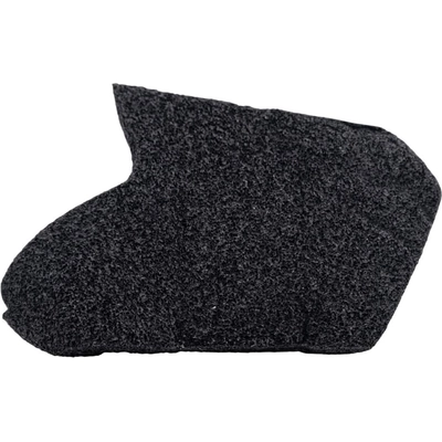 Front Bumper Filler - TO1087119 pa2