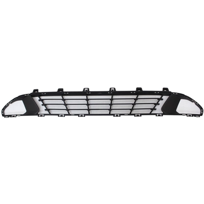 Front Bumper Grille - BM1036199 pa1