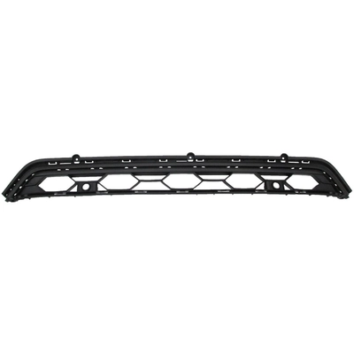 Front Bumper Grille - VW1036144 pa1