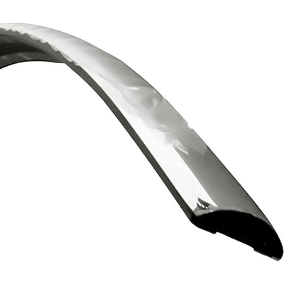 Front Bumper Impact Strip - CH1057171 pa1