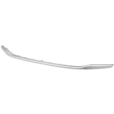 Front Bumper Molding - HO1044102V pa1