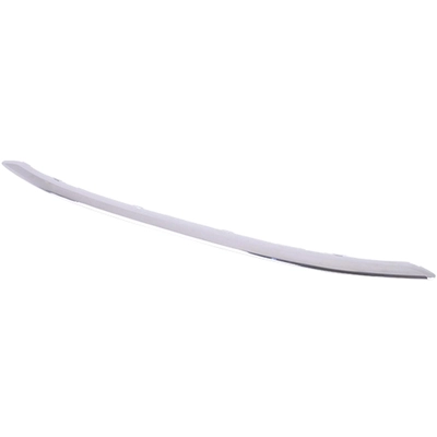 Front Bumper Molding - HO1044107 pa6