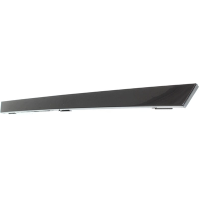Front Bumper Molding - HY1044108C pa2