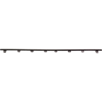 Front Bumper Molding - LX1044110 pa2
