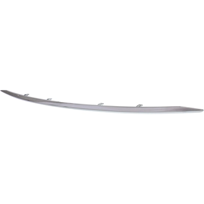 Front Bumper Molding - NI1044109 pa1