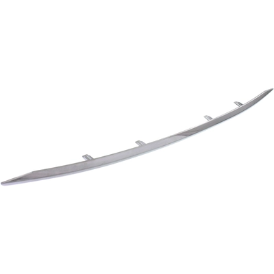 Front Bumper Molding - NI1044109 pa3