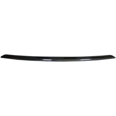 Front Bumper Molding - NI1044110OE pa1