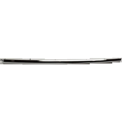 Front Bumper Molding - NI1044116 pa2