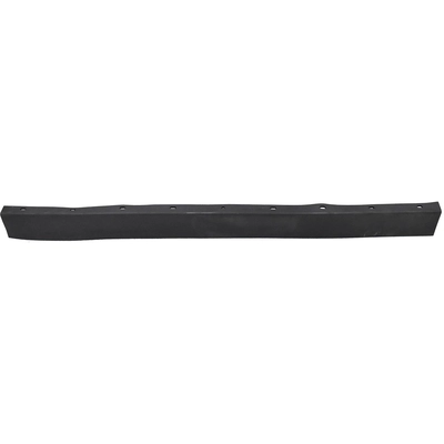 Front Bumper Molding - NI1044119 pa1