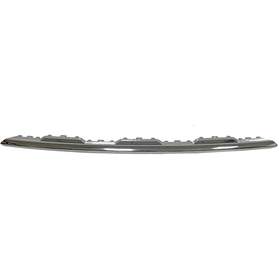 Front Bumper Molding - NI1044121 pa1