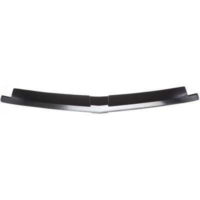 Front Bumper Molding by SHERMAN PARTS - 753-250 pa1
