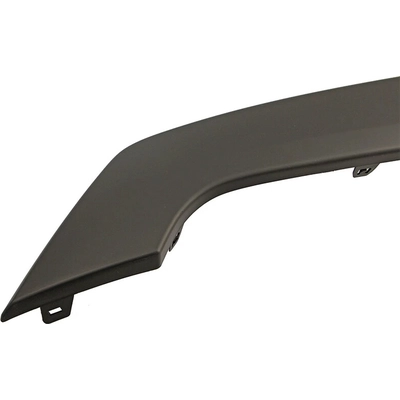 Front Bumper Molding - FO1044128 pa2