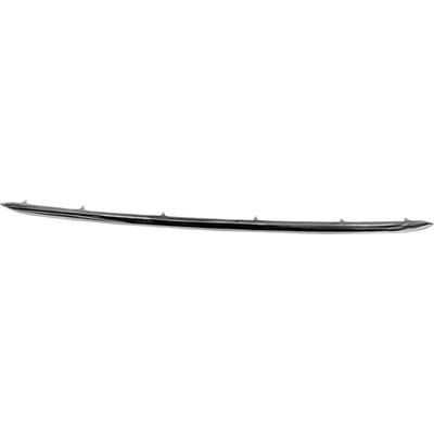 Front Bumper Molding - NI1044122 pa1