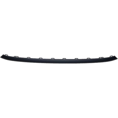 Front Bumper Molding - VW1044114 pa1