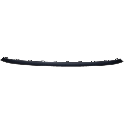 Front Bumper Molding - VW1044109 pa2