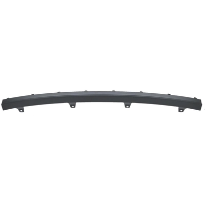 Front Bumper Protector - LX1009100C pa1