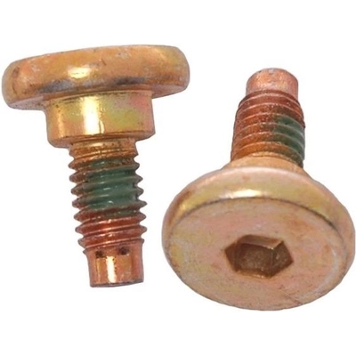 RAYBESTOS - H5019W - Front Caliper Bolt Or Pin pa9