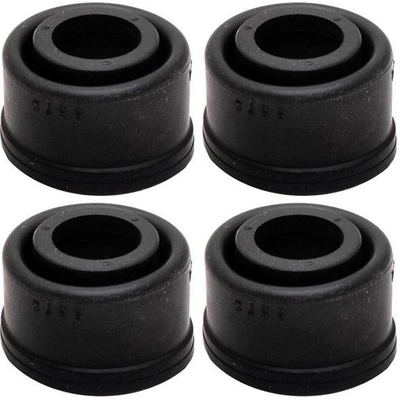 Front Caliper Bushing by RAYBESTOS - H16017 pa2