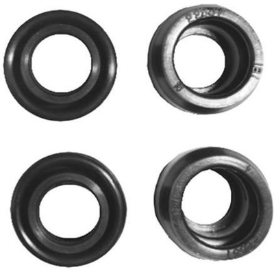 RAYBESTOS - H16089 - Front Caliper Bushing pa3