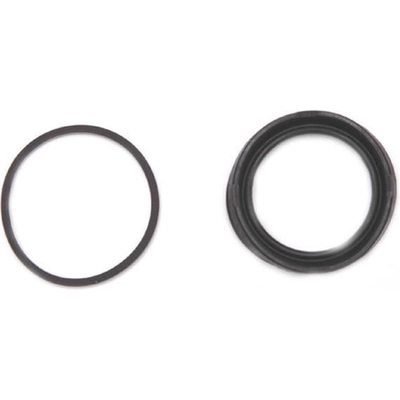 Front Caliper Kit by RAYBESTOS - WK1568 pa2