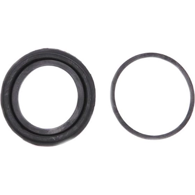 Front Caliper Kit by RAYBESTOS - WK2048 pa10