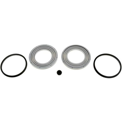 Front Caliper Kit by RAYBESTOS - WK2888 pa1