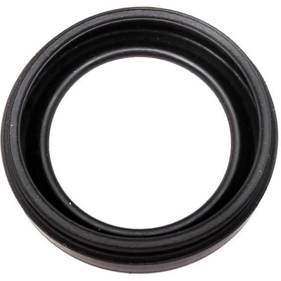 Front Caliper Kit by RAYBESTOS - WK519 pa2