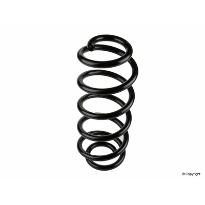 Front Coil Spring by LESJOFORS - 4004237 pa2