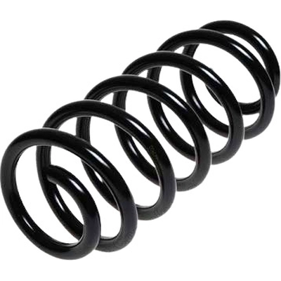 LESJOFORS - 4004247 - Front Coil Springs pa2