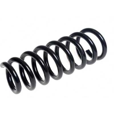 Front Coil Spring by LESJOFORS - 4008530 pa2