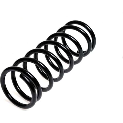 Front Coil Spring by LESJOFORS - 4055425 pa2