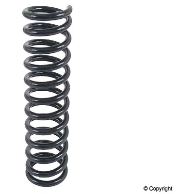 Front Coil Spring by LESJOFORS - 4056803 pa2