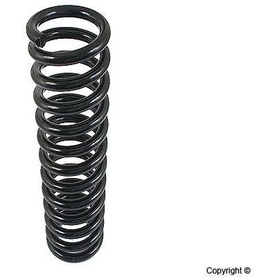 Front Coil Spring by LESJOFORS - 4056804 pa2