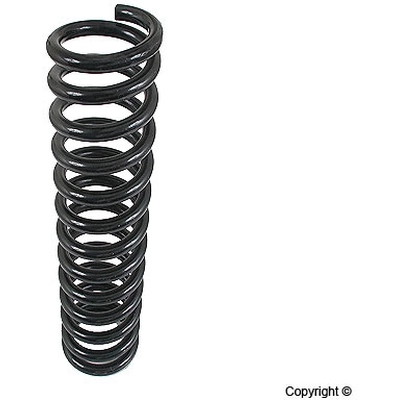 Front Coil Spring by LESJOFORS - 4056805 pa2