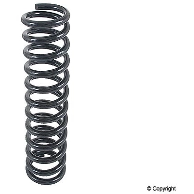 Front Coil Spring by LESJOFORS - 4056818 pa2