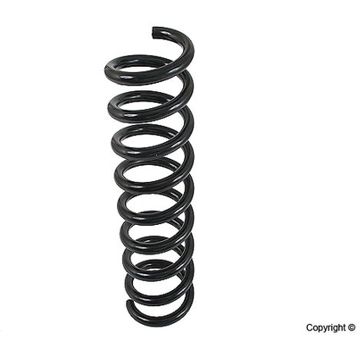 Front Coil Spring by LESJOFORS - 4056822 pa2
