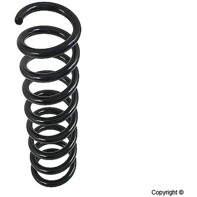 Front Coil Spring by LESJOFORS - 4056826 pa2