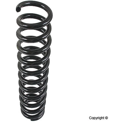 Front Coil Spring by LESJOFORS - 4056827 pa1