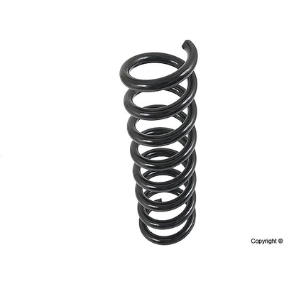 Front Coil Spring by LESJOFORS - 4056829 pa2