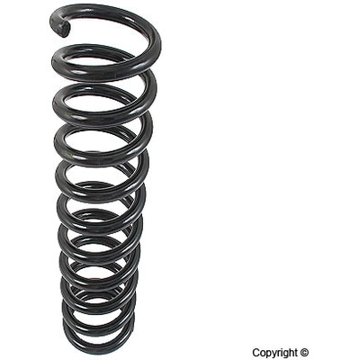 Front Coil Spring by LESJOFORS - 4056838 pa2