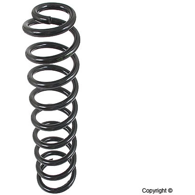 Front Coil Spring by LESJOFORS - 4056842 pa2